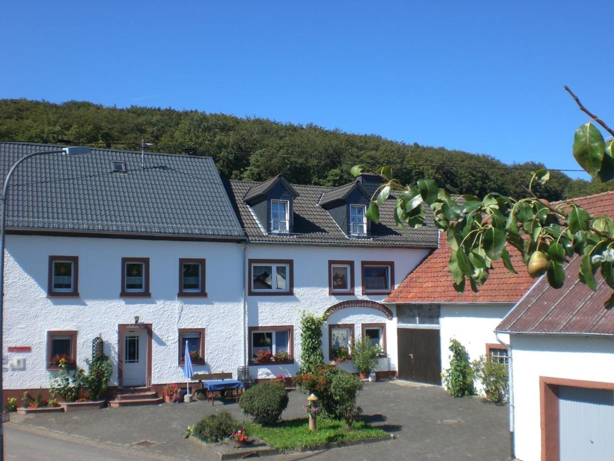 Ferienhof An Der Lay Kerpen  Extérieur photo