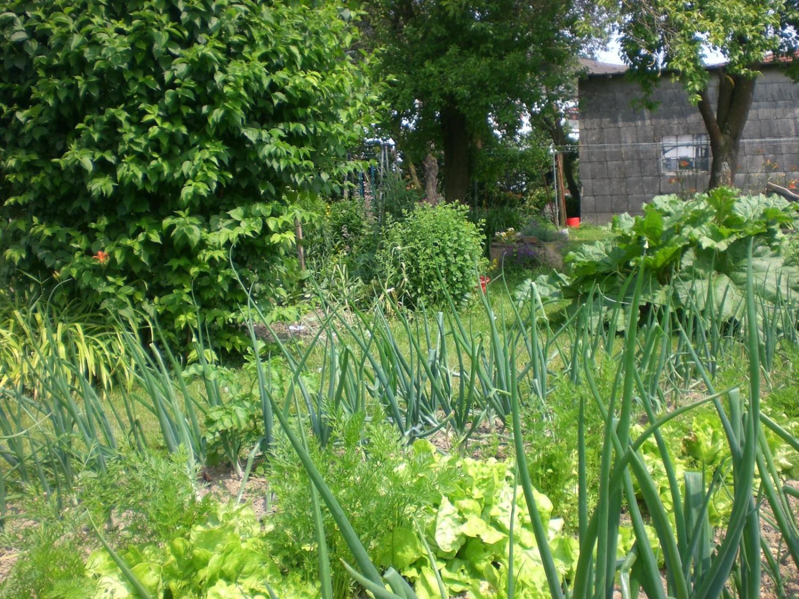 Ferienhof An Der Lay Kerpen  Extérieur photo